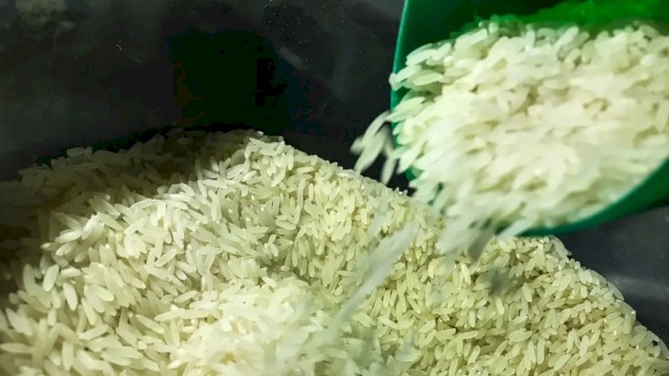 Arroz importado para cobrir prejuízo com enchentes no RS custará R$ 4/kg, garante governo