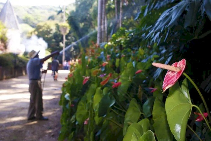 Conselho do Parque da Mata do Krambeck aprova regimento interno