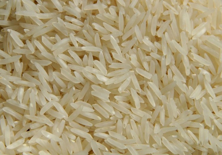 Conab suspende leilão para compra de 104 mil toneladas de arroz importado