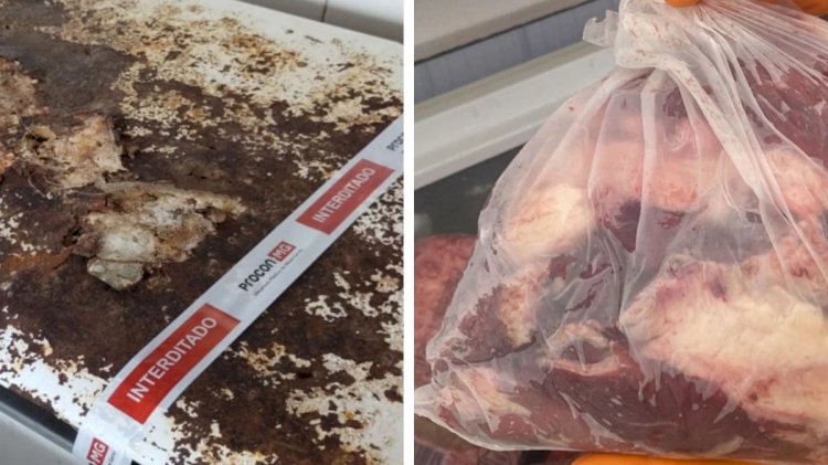 Procon recolhe mais de duas toneladas de carnes impróprias para o consumo em açougues de MG