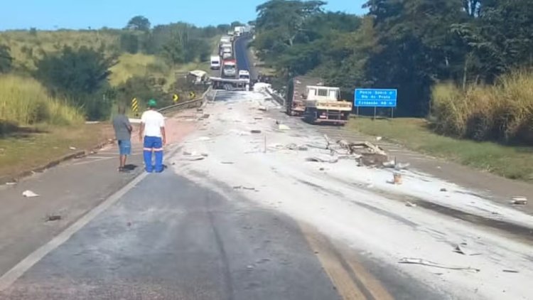 Motorista morre em batida entre carretas e ataque de abelhas dificulta o resgate na BR-153