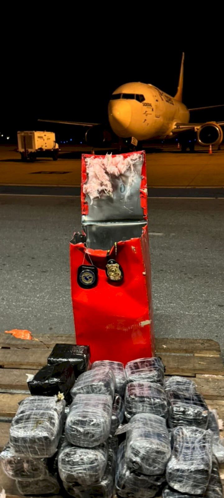 Polícia Federal apreende 152 kg de haxixe em carga estrangeira no Aeroporto Internacional de Belo Horizonte