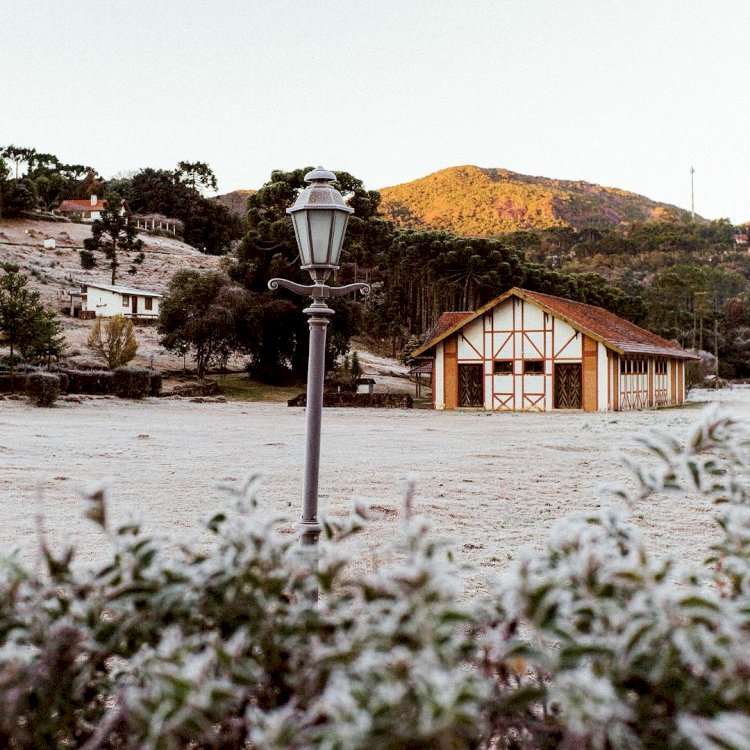 Cidades mineiras podem ter geada neste sábado; veja quais