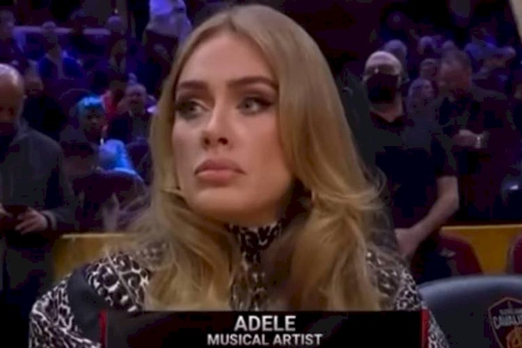 Adele silencia agressor homofóbico em show e viraliza