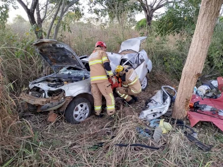 Motorista morre e irmão fica ferido após carro bater em árvore na LMG-135