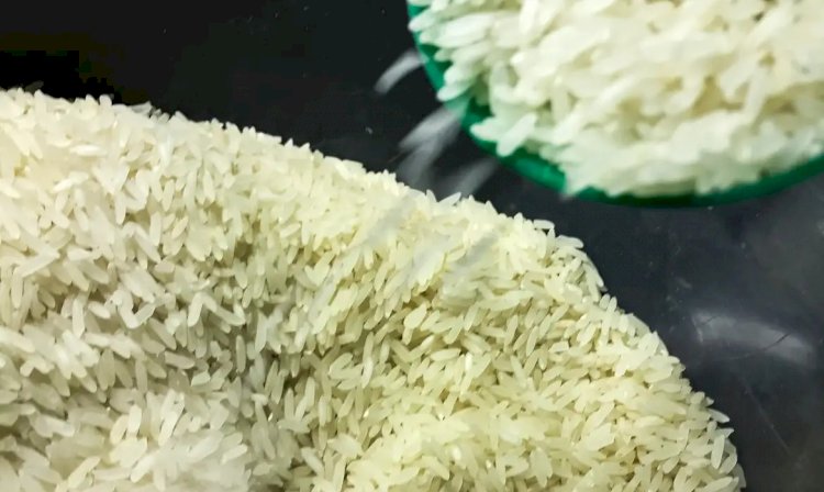 Governo anula leilão e cancela compra de arroz importado