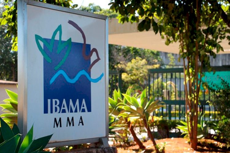 Servidores do Ibama e ICMBio de Minas Gerais anunciam greve geral