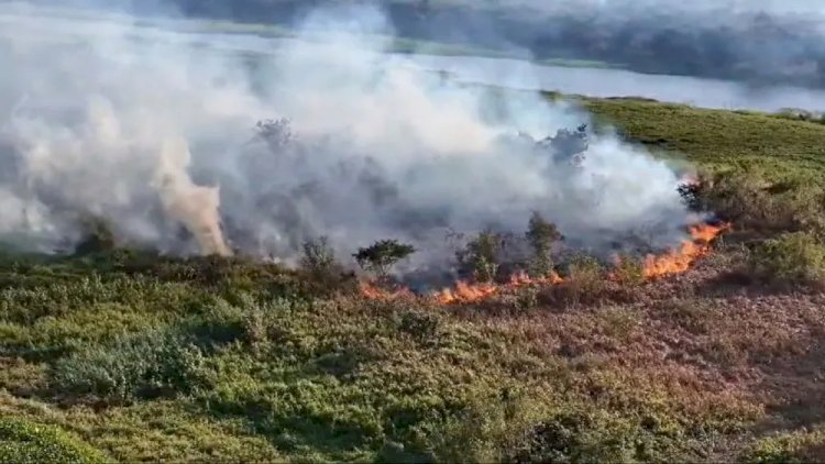 Bombeiros combatem incêndios no Pantanal há 77 dias; ribeirinhos são resgatados