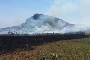 Temperaturas acima da média e imprudência fazem incêndios em áreas de vegetação dispararem 77% em MG