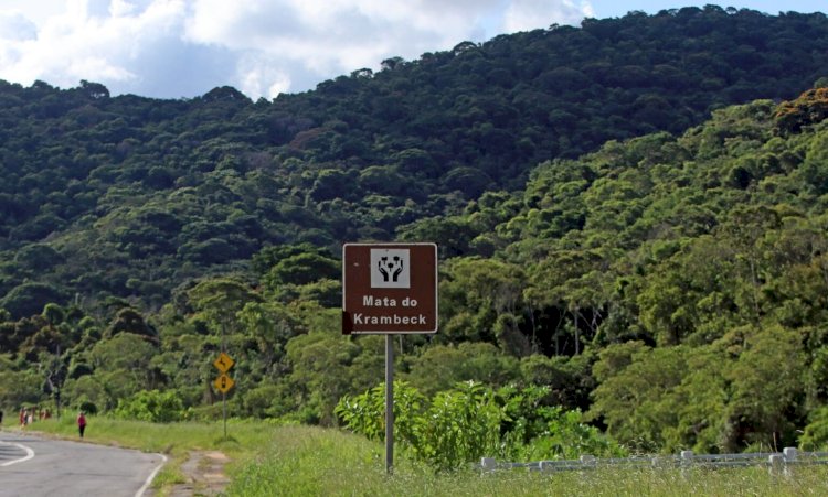 Agropecuária ocupa 67? área, mas representa 0,3% do PIB do município