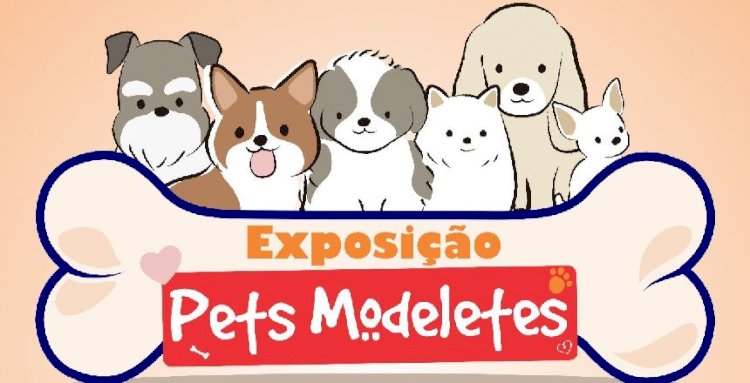 Cães do Canil Municipal são tema de exposição no Teatro Paschoal Carlos Magno