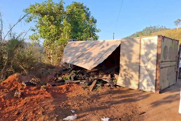 Caminhão carregado com mudas de plantas tomba na MG-133