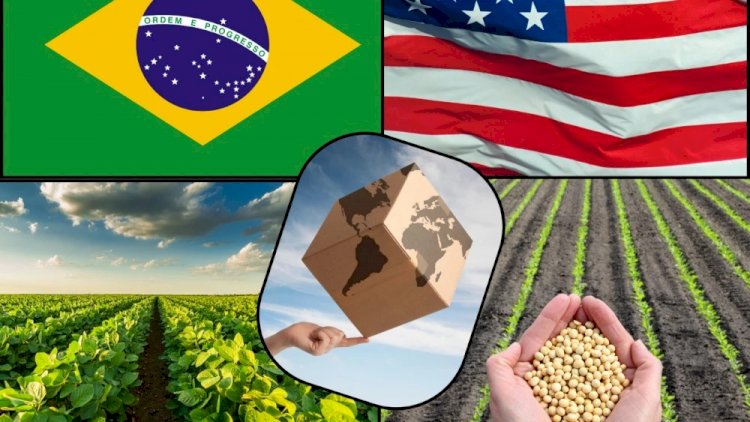 Eleições americanas têm relação direta com as exportações do agro brasileiro? Entenda