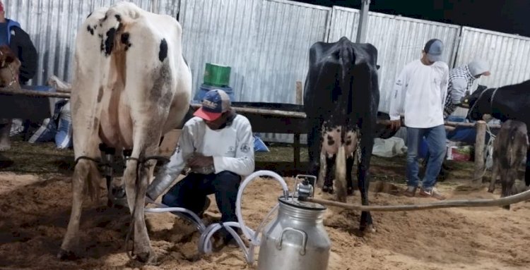 Torreões sedia 38ª Expo Feira de Gado Leiteiro a partir desta quinta-feira dia 25