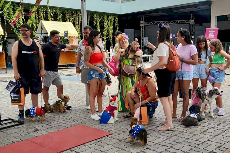 Moinho sedia eventos voltados para os pets neste domingo