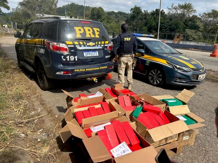 Caminhoneiro é detido com 300kg de maconha escondidos em caixas de papelão em Juiz de Fora