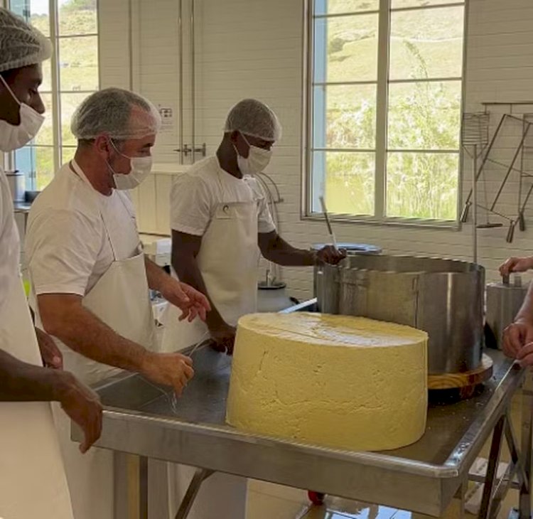 'Belmirão': conheça queijo de 45 kg que ficará em maturação por 1 ano para ser apresentado em festival no interior de MG