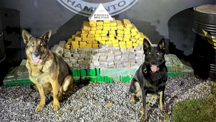 Polícia encontra 300 barras de maconha do tráfico escondidas às margens de rodovia de MG