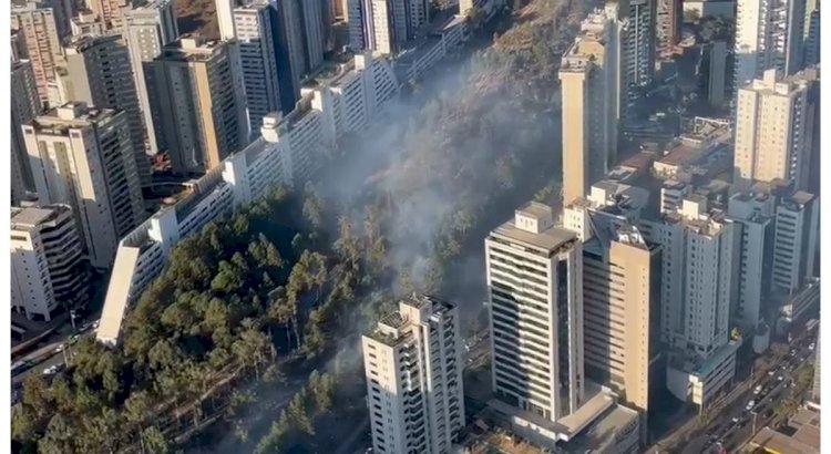 Incêndio atinge Parque Linear do Belvedere, em BH; fumaça é alta no local