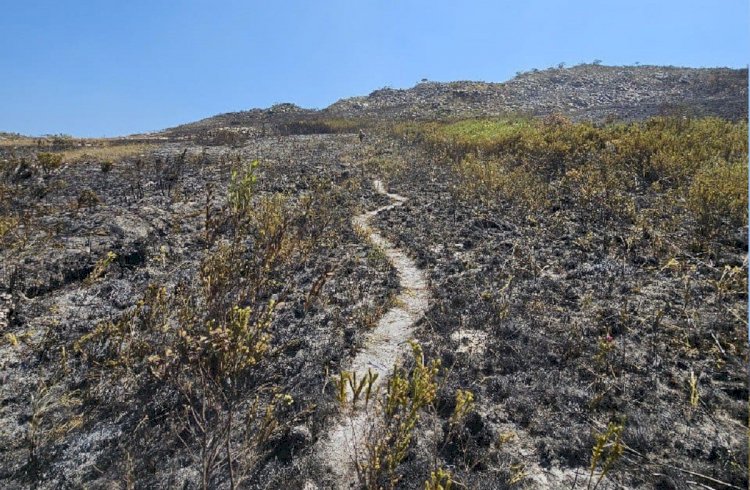 Operação Verde Minas convoca 900 policiais para combate e prevenção de incêndios florestais