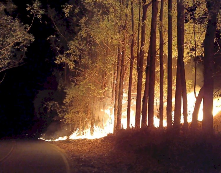 Incêndio atinge fazenda na zona rural de Minas Gerais