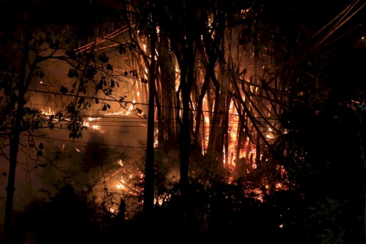 Incêndio atinge mata perto do Mineirinho antes de jogo entre Atlético e Fluminense; veja fotos e vídeo