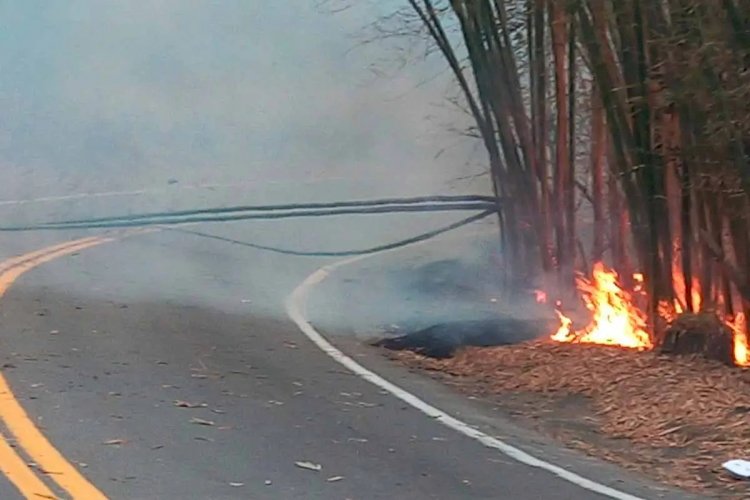 Homem provoca incêndio ao ficar embriagado e jogar cigarros em mata