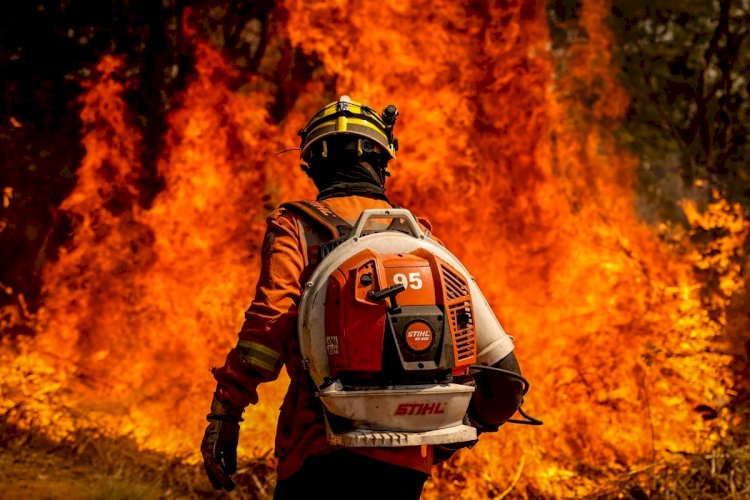 Três incêndios simultâneos em Minas; Serra do Brigadeiro queima há quase dez dias consecutivos