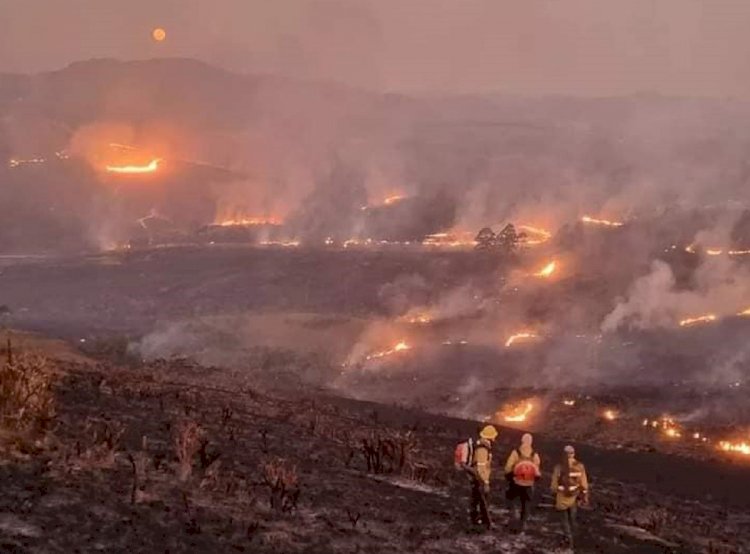 Incêndio no Itacolomi, em Ouro Preto, entra no 6º dia; combate segue em outros três parques em MG