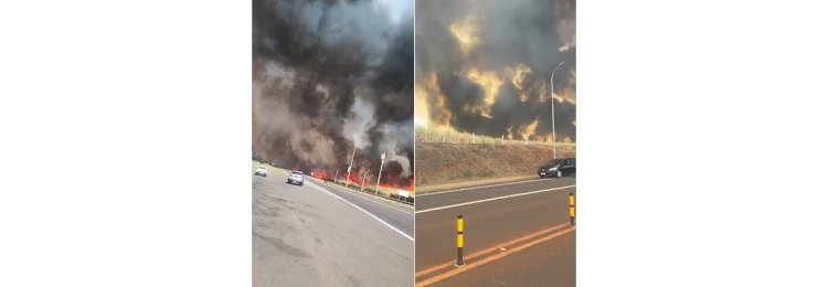 Polícia prende 5º suspeito de atear fogo intencionalmente em vegetação no interior de São Paulo