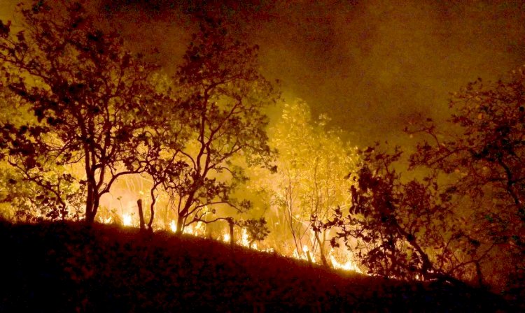 Queimadas persistem na Amazônia; cidades do PA superam mil focos