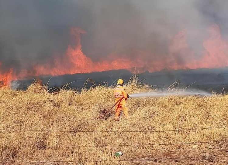 Com 80 focos por dia, MG tem agosto com mais incêndios dos últimos 13 anos