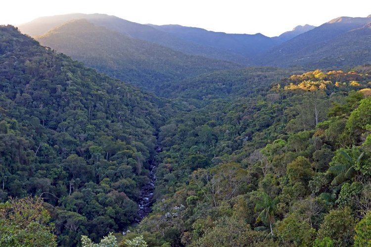 Parque Nacional do Itatiaia: uma visita à Mata Atlântica com sotaques mineiro e carioca