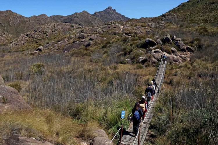 Parque Nacional do Itatiaia: uma visita à Mata Atlântica com sotaques mineiro e carioca