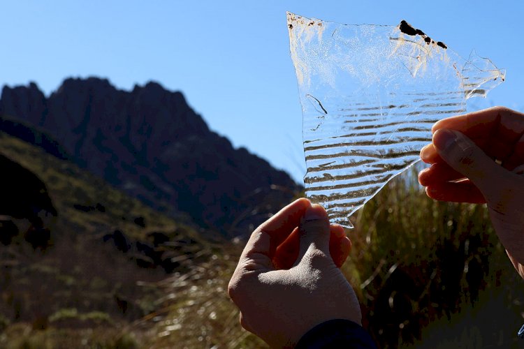 Parque Nacional do Itatiaia: uma visita à Mata Atlântica com sotaques mineiro e carioca