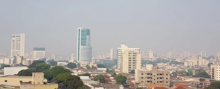 Cidade em cinzas: enquanto nuvens de fumaça prejudicam a saúde humana, fogo arrasa fauna e flora de Uberlândia