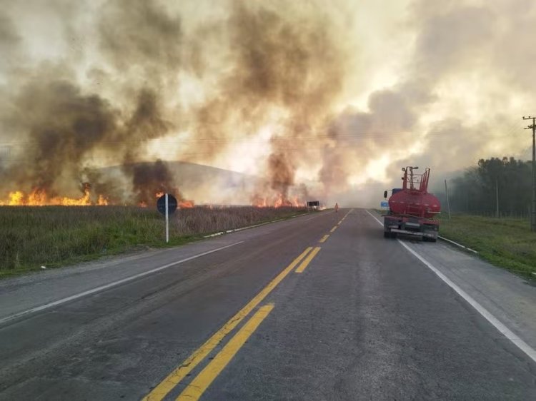 Dupla é multada em mais de R$ 1 milhão por provocar incêndio que queimou área superior a 200 campos de futebol em Juiz de Fora