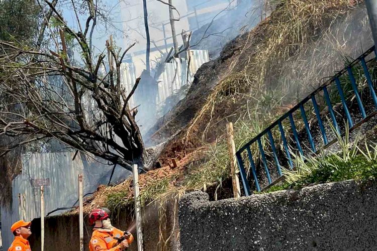 Vegetação próxima a hospital pega fogo em Juiz de Fora