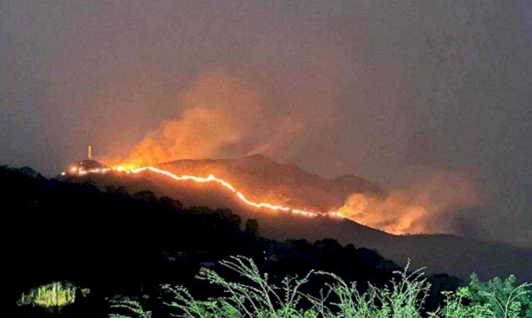 Minas tem cidades há 159 dias sem chuva, fogo em matas e cachoeira seca