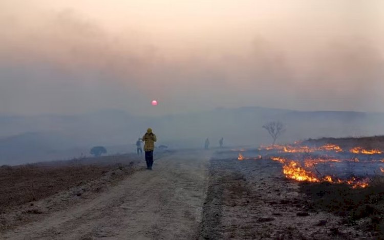 Incêndios atingem Serra de Carrancas e Serra do Chapadão, entre Guapé e Ilicínea, MG