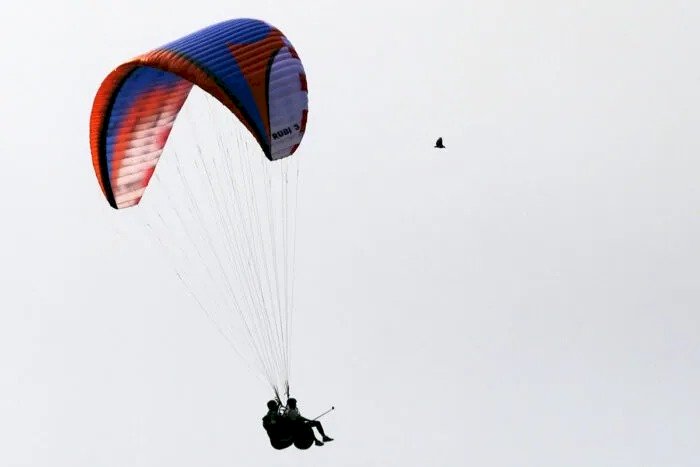 ‘O mais próximo do voo de uma ave’: parapente ganha adeptos em JF e impressiona com paisagens