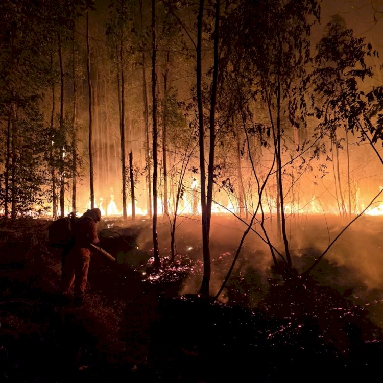 Vídeo: botijão de gás cai de caminhão e provoca incêndio em vegetação em Minas