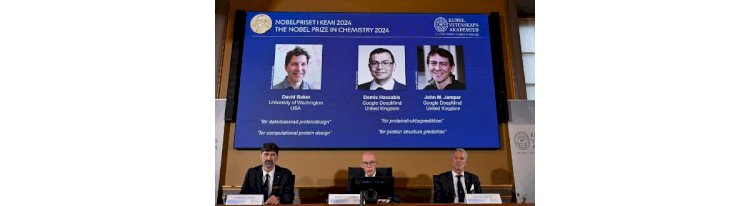 Nobel de Química premia trio que usa IA para decifrar segredos das proteínas