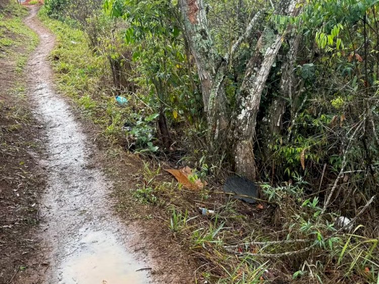 Supostos restos mortais de bebê encontrados por crianças durante trilha em Juiz de Fora serão encaminhados para investigação em BH