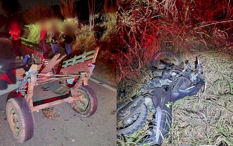 Três pessoas têm ferimentos graves em batida entre moto e charrete na MGC-383, em Itajubá, MG