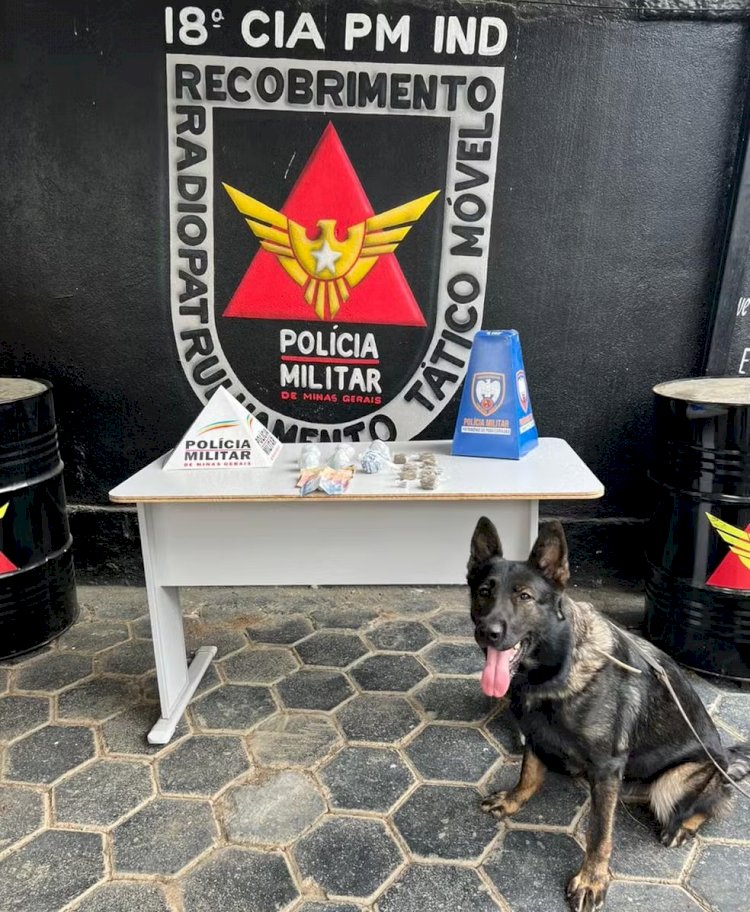 Com 17 passagens policiais, homem é mais uma vez preso por tráfico de drogas em Mantena