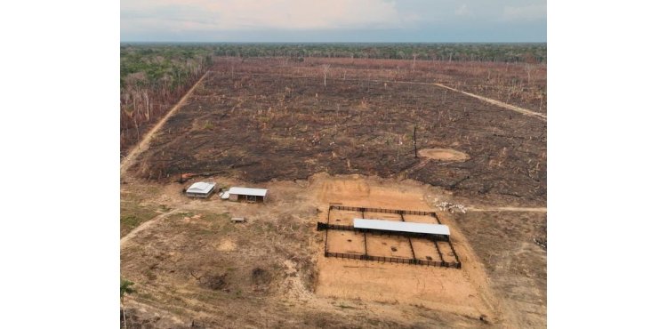 PF faz operação contra empresário e outros acusados de incêndios na Amazônia para criar gado