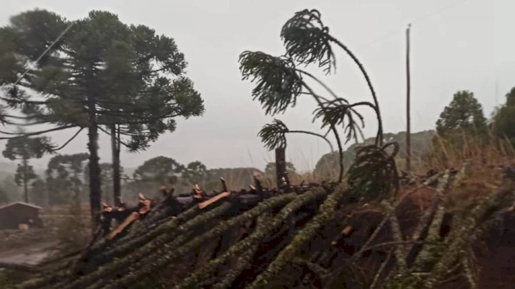 Inmet reforça alerta de ciclone extratropical no Brasil a partir desta quarta; ventos podem atingir 100 km/h