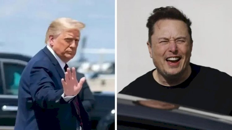 Trump indica Elon Musk para chefiar departamento de ‘eficiência governamental’ dos EUA