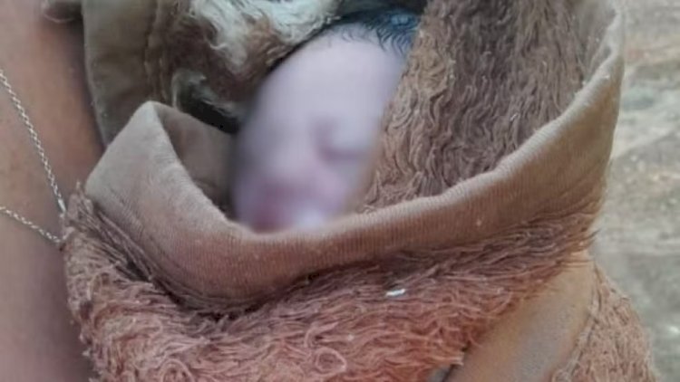 Ainda com o cordão umbilical, recém-nascida é abandonada na porta de casa em MG